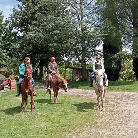 All'Antico Silbule カポローナ エクステリア 写真